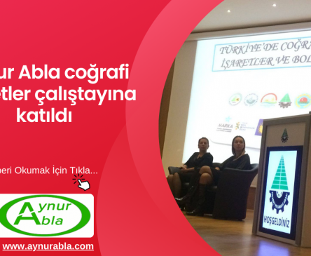 Aynur Abla coğrafi işaretler çalıştayına katıldı