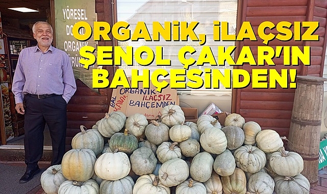 Organik, ilaçsız Şenol Çakar’ın bahçesinden…